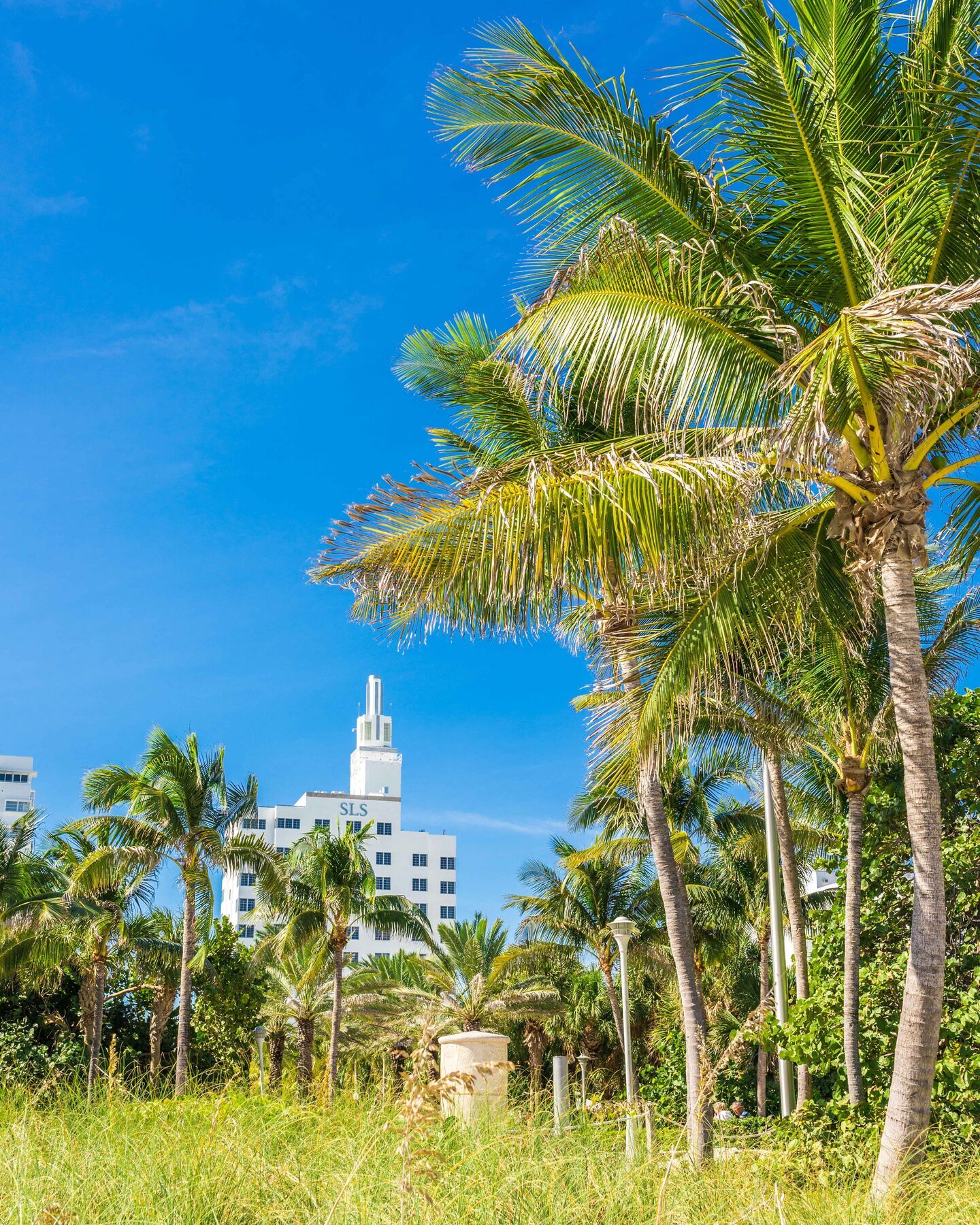 Sls South Beach (Adults Only) マイアミビーチ エクステリア 写真